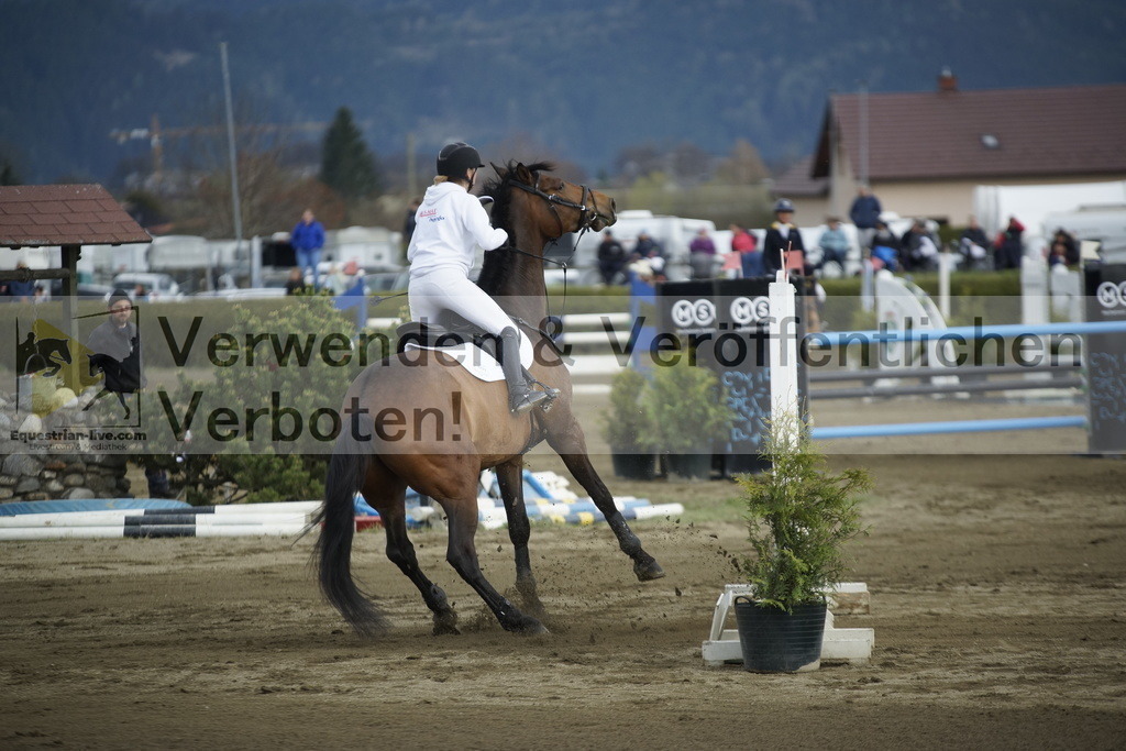 _DSC8051 | equestrian-live-com
