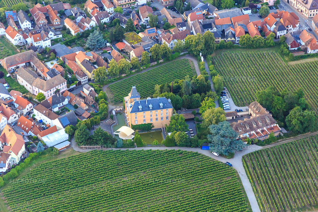 Luftbild: Hotel Schloß Edesheim, Privathotels Dr. Lohbeck GmbH & Co. KG in Edesheim im Bundesland Rheinland-Pfalz in Deutschland. Foto: IMG_082718.jpg vom 25.06.2015 durch Werner Riehm/FLY-FOTO.de4-Sterne-Hotel in der Pfalz - Schloss Edesheim