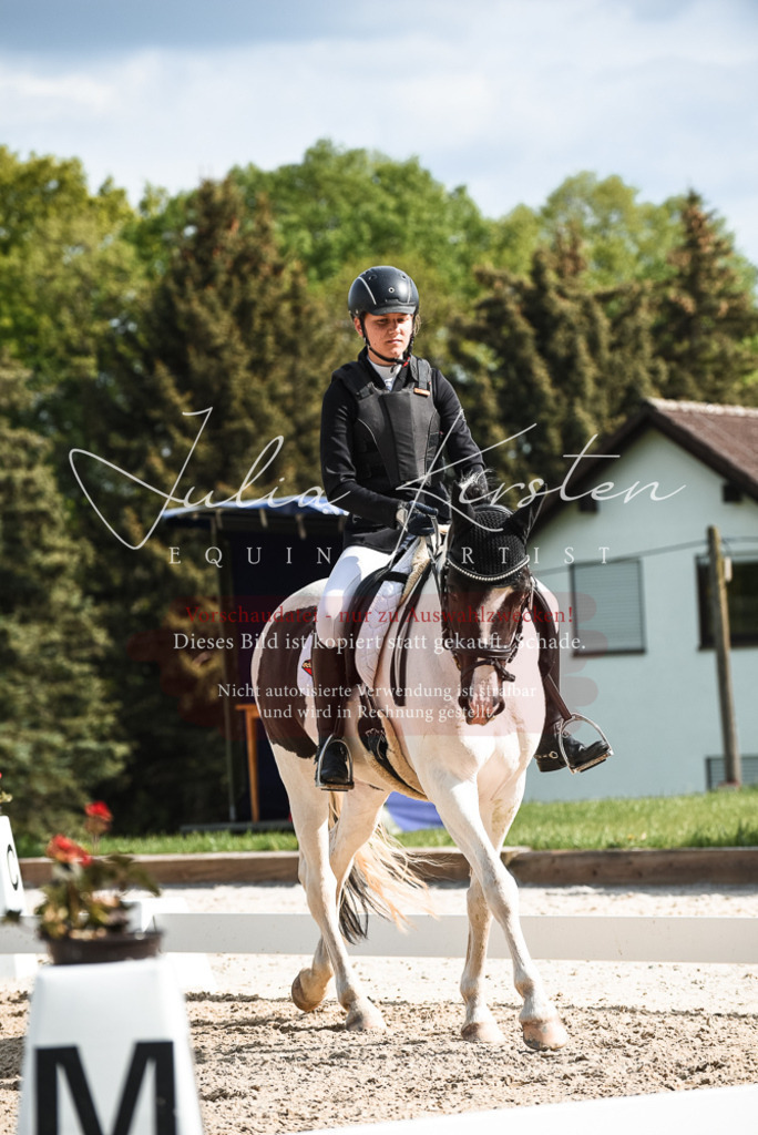 20230518_JK-Röhrsdorf-12-0171 | Pferde- und Turnierfotografie in Westsachsen. Pferdeportraits, Auftragszeichnungen und intuitive Kunst.
