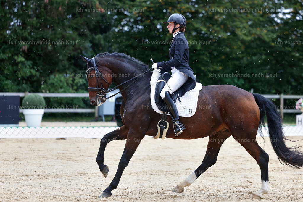 8_1-099-Klasse S_  -StoibPH-3871 | working equitationturnier fotograf videograf stoibphotography marixx film working equitation deutschland reitsport turnierfotografie eventfotografie equestrian events