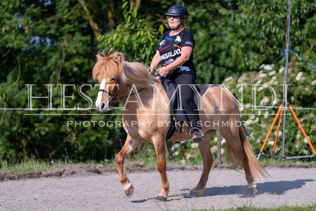 KAI07184 | Ihr sucht einen Fotografen für eure nächste OSI? Ich begleite auch euer Turnier für Islandpferde fotografisch.  - Realisiert mit Pictrs.com