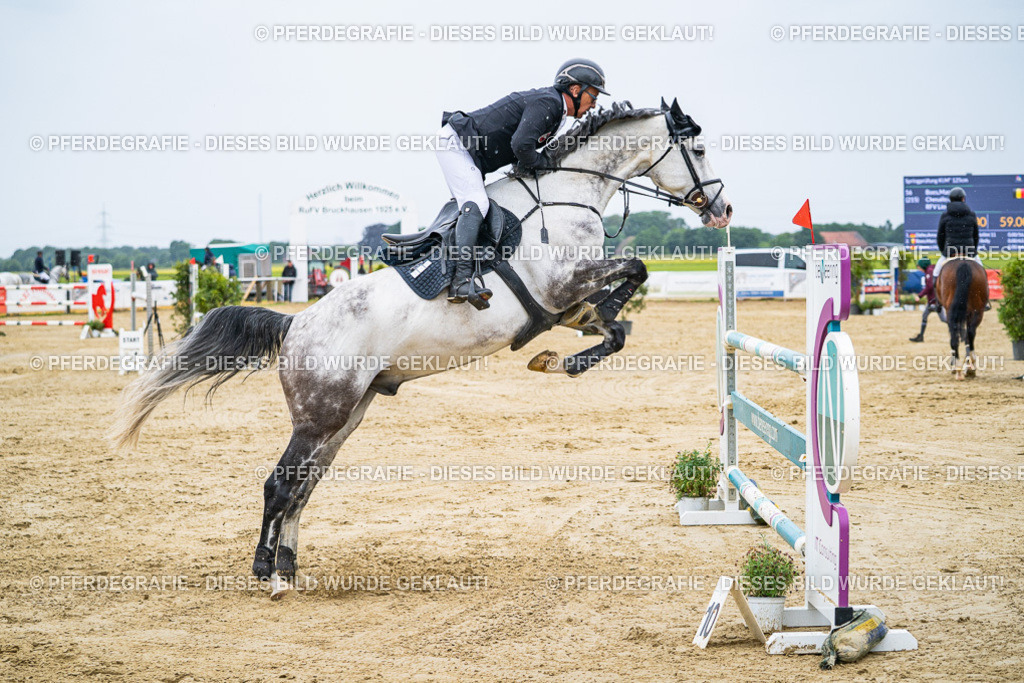 DSC08424 | Pferdegrafie