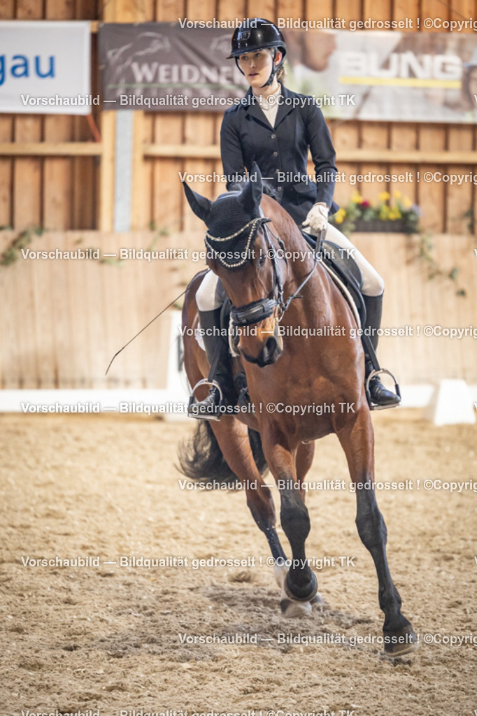 _D5A1421 | Emotionale Pferde- & People-Fotografie rund um Heidelberg, Leimen & Umgebung. Natürliche Fotos von Pferd, Mensch & Familie. Jetzt Termin sichern!