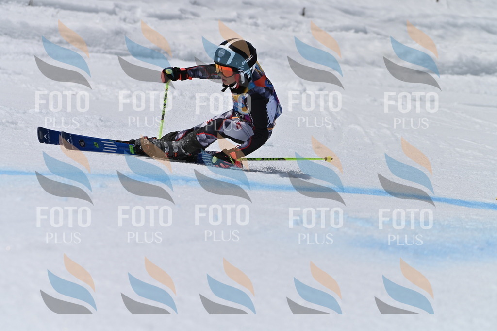 BGV_7379 | holidayphoto