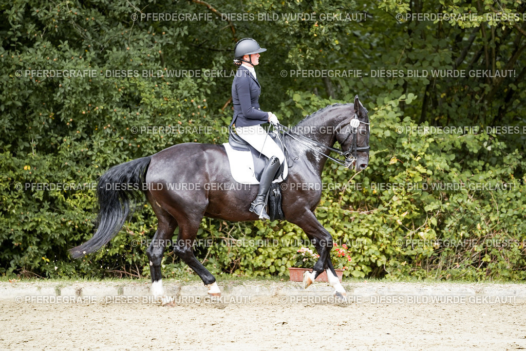 DSC05433 | Pferdegrafie