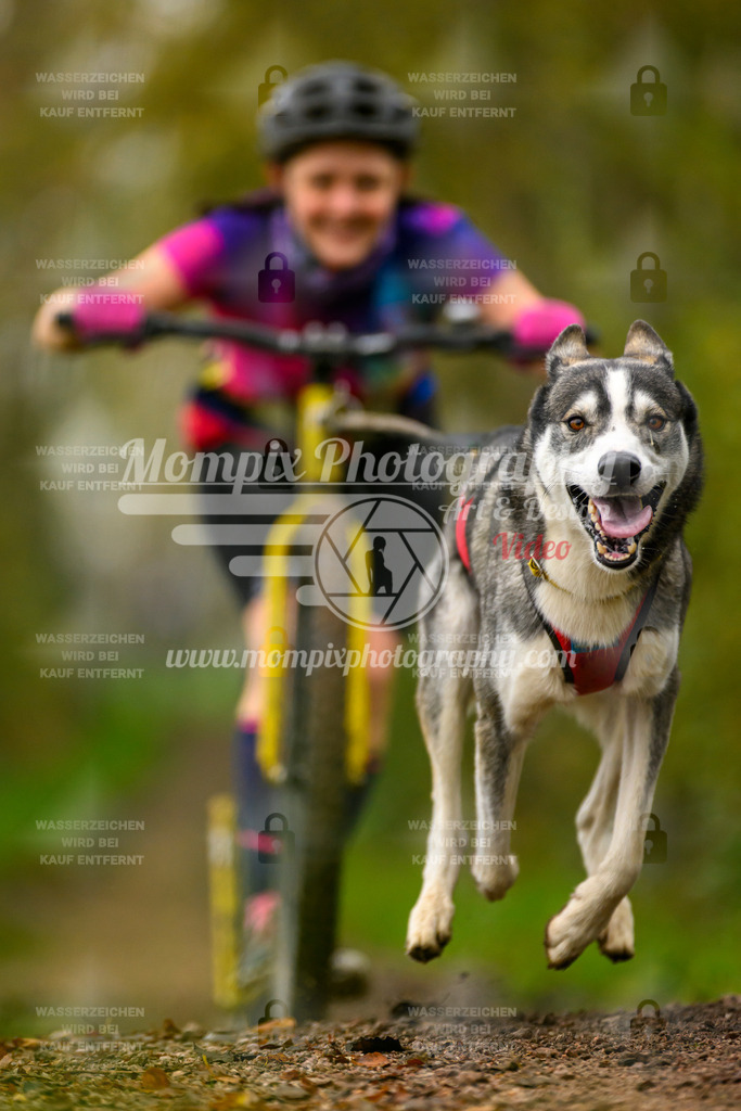 MompixPhotography_20TSB_E6_DS1-49 | PayLife