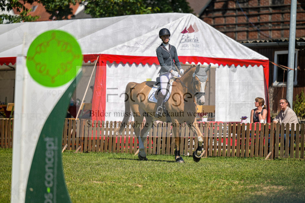 Reitturnier Voxtrup | Entdecke hochwertige Reitturnierfotos von Foto Oger. Professionell, emotional und authentisch – jetzt Lieblingsmomente im Shop bestellen.Deutschlandweite Turnierfotografie. - Realisiert mit Pictrs.com