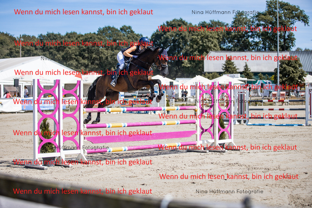 BK1A6773 | Turnierbilder Turnierfotos Nina Hüffmann Turnierfotografie Pferdefotografie Tierzeichnung Haustierzeichnung Pferdezeichnung Hundezeichnung Videograf  - Realisiert mit Pictrs.com
