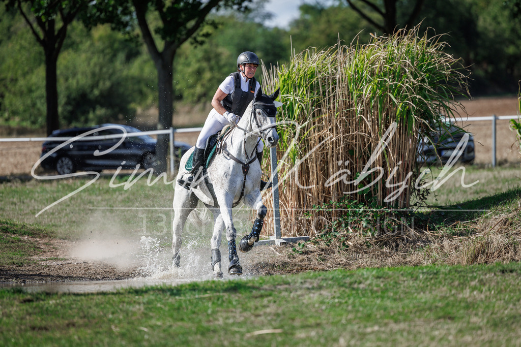 20260905-_3LI0186 | Tierfotografie Pferde, Hunde, Katzen, Haustiere.
Turnierfotografie Reitturniere, Reiten, Springreiten, Dressur in Hanau, dem Main-Kinzig-Kreis und dem Rhein-Main- Gebiet um Frankfurt
