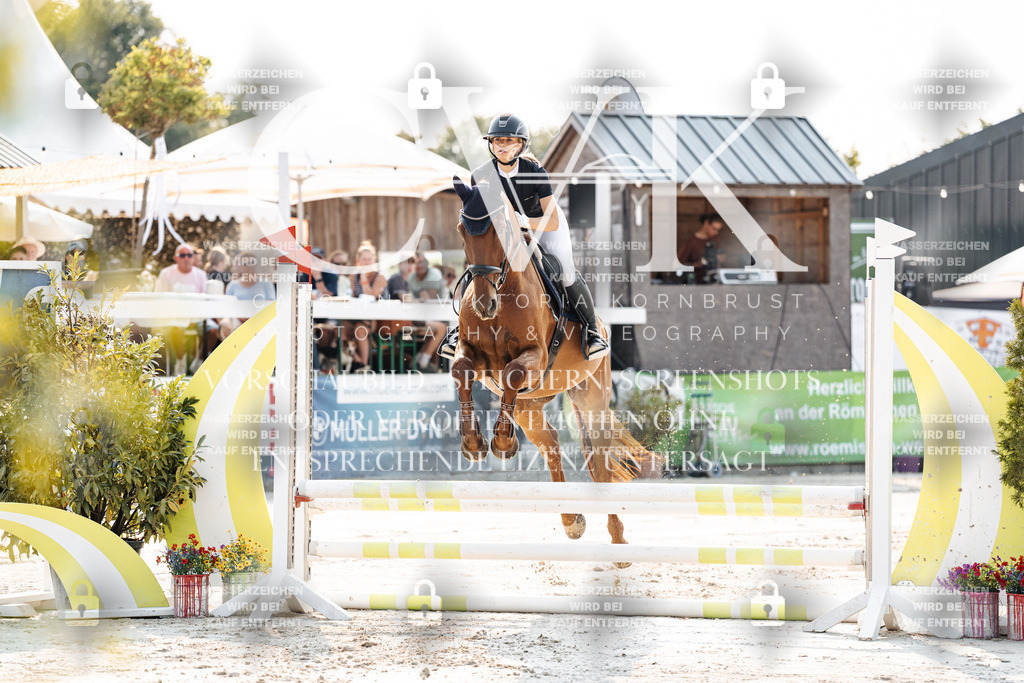 CK902838 | Turnierfotografie Pferdefotografie Trier Rheinland-Pfalz Pferdesport Reitsport Tierfotografie Sportfotografie Pferdevideo Pferdevideografie Equestrianvideography equestrianphotography  - Realisiert mit Pictrs.com