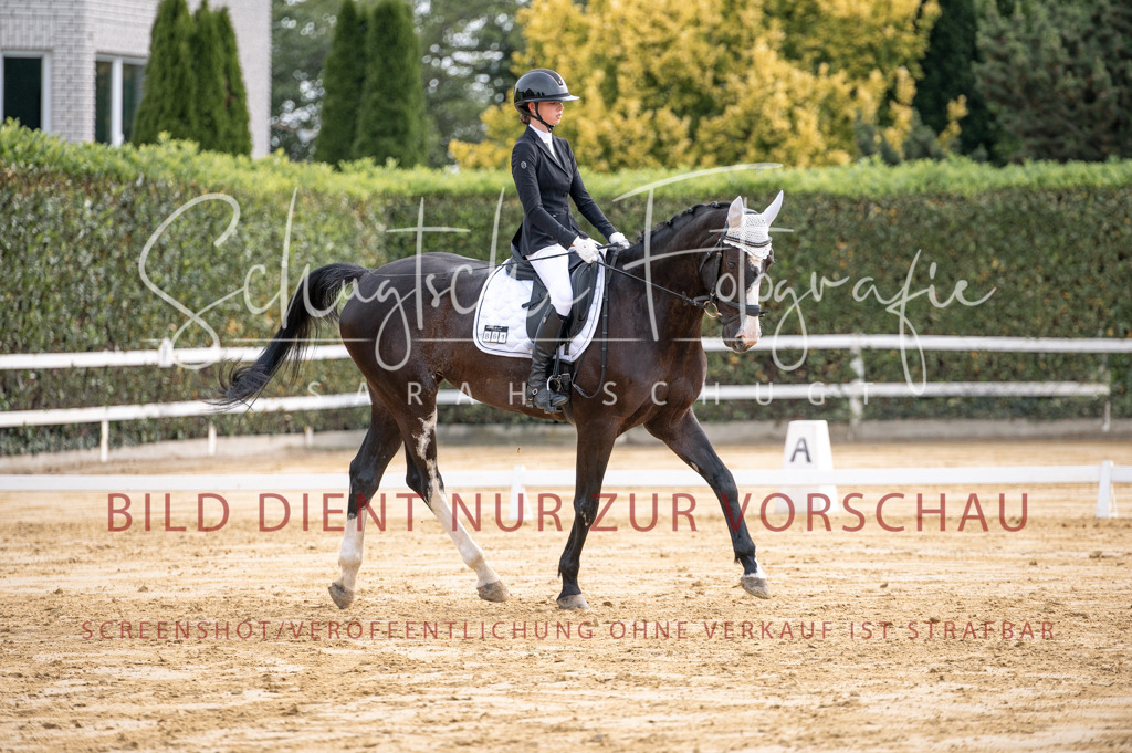 Schugtsche-Aluta25-40.DressurprfA_-226 | Schugtsche Fotografie - Realisiert mit Pictrs.com