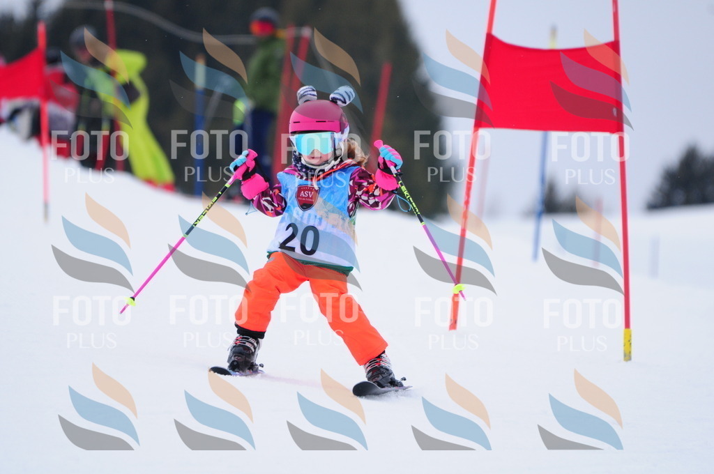 A3402 | holidayphoto