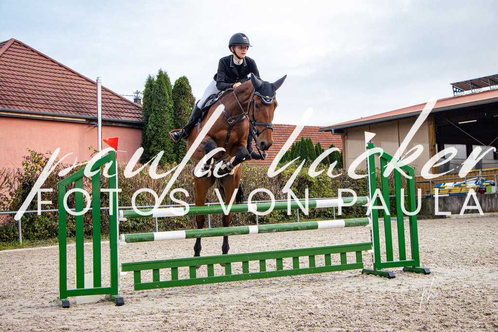 IMG_4471 | Erleben Sie dynamische Sport- und emotionale Tierfotografie in Süddeutschland mit Fotos von Paula. Spezialisiert auf Pferde- und Hundefotografie sowie Sportevents. Kontaktieren Sie mich für einzigartige und ausdrucksstarke Bilder Ihrer besonderen Momente. - Realisiert mit Pictrs.com