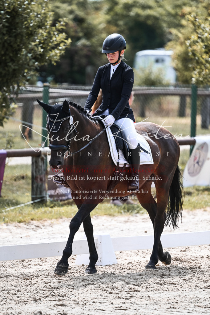 DSC_5249 | Pferde- und Turnierfotografie in Westsachsen. Pferdeportraits, Auftragszeichnungen und intuitive Kunst.