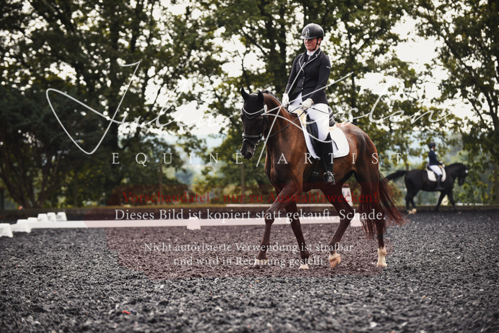 DSC_3727 | Pferde- und Turnierfotografie in Westsachsen. Pferdeportraits, Auftragszeichnungen und intuitive Kunst.