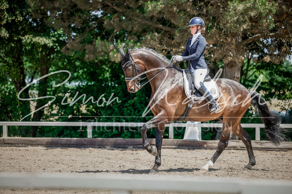 20250621-_3LI7422 | Tierfotografie Pferde, Hunde, Katzen, Haustiere.
Turnierfotografie Reitturniere, Reiten, Springreiten, Dressur in Hanau, dem Main-Kinzig-Kreis und dem Rhein-Main- Gebiet um Frankfurt