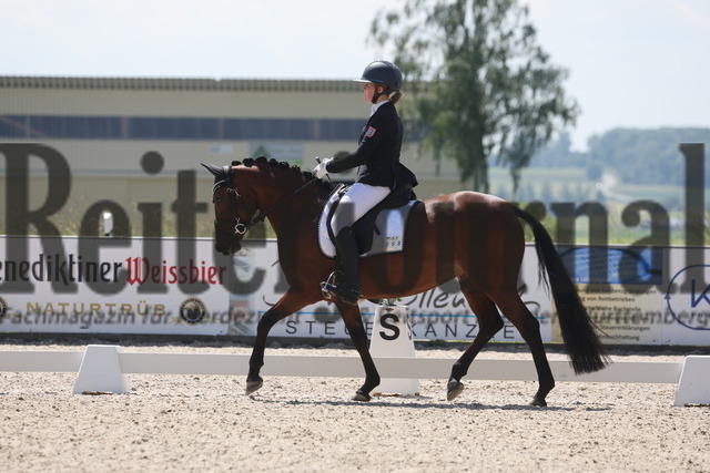 Rot am See_2024_Prfg.Nr.21_Qual.BCH_und_LCH_5-jähr.Ponys_Stella Zimmermann_Duchess Darcy (4) | Alle Fotos der Reiterjournal Fotografin Doris Matthaes im Reiterjournal Online-Fotoshop. - Realisiert mit Pictrs.com