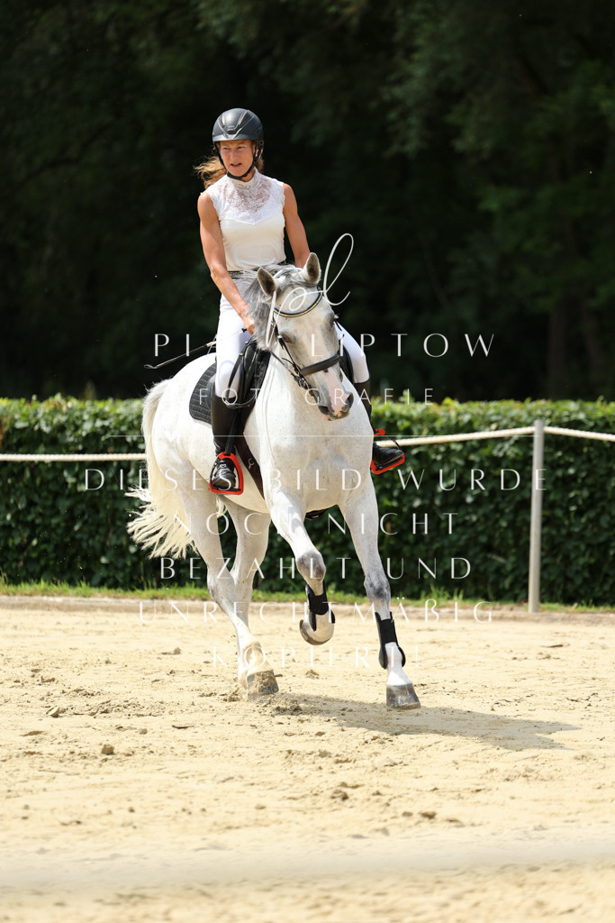 IMGM4804 | pl-fotografie