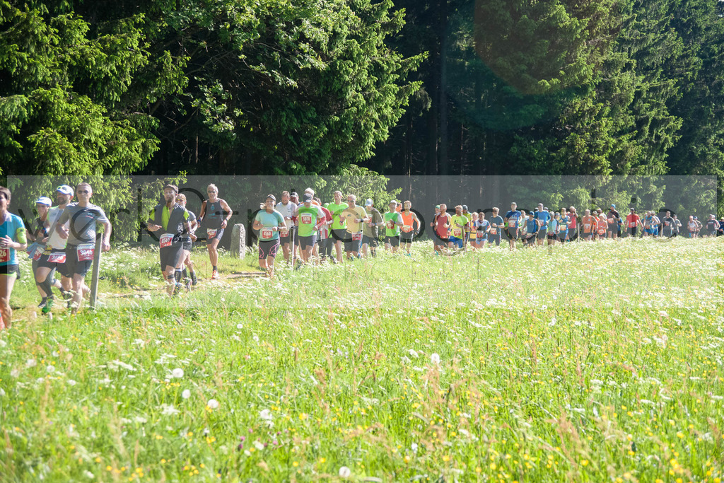 Rennsteiglauf 2018 | Neuhaus/Rwg. - Schmiedefeld am 26. Mai 2018