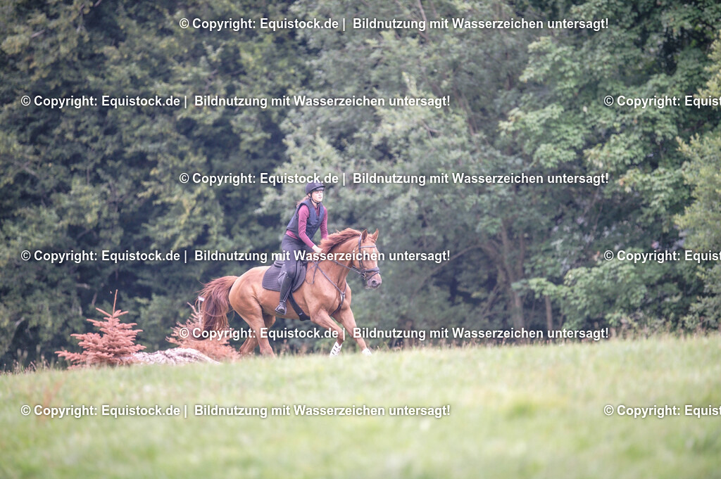 20250726_Vielseitigkeitslehrgang-Marbach_0289 | Foto: Thomas Hartig