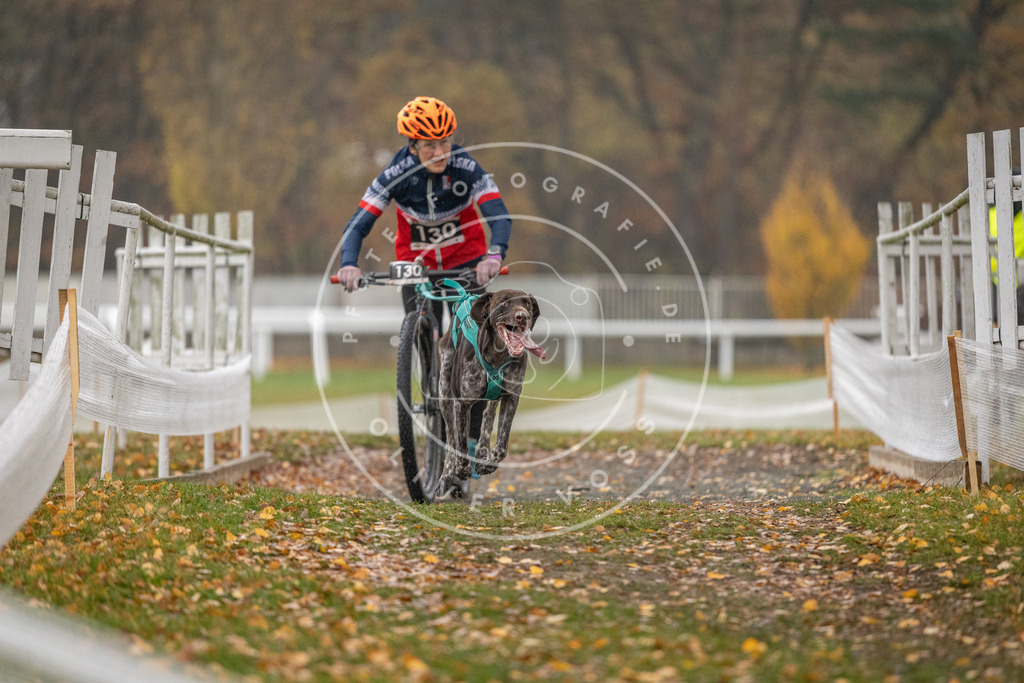 CaniXpix_DV3A7382 | Hundefotografie, Tierfotograf, Pfotenfotografie, Fotoshooting Hund, Hunde Portrait, Hundesport, Hundeportraits, Heideshooting, Hunde, Sportfotograf, Hundefotograf, Turnierhundsport, THS,  - Realisiert mit Pictrs.com