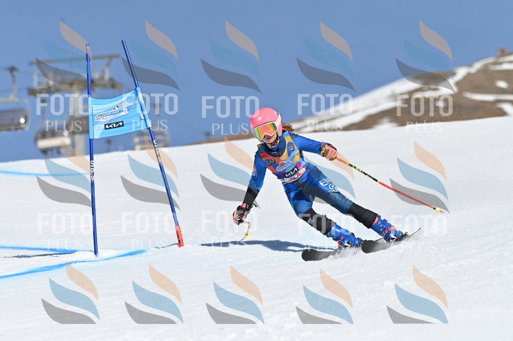 BGV_8224 | holidayphoto