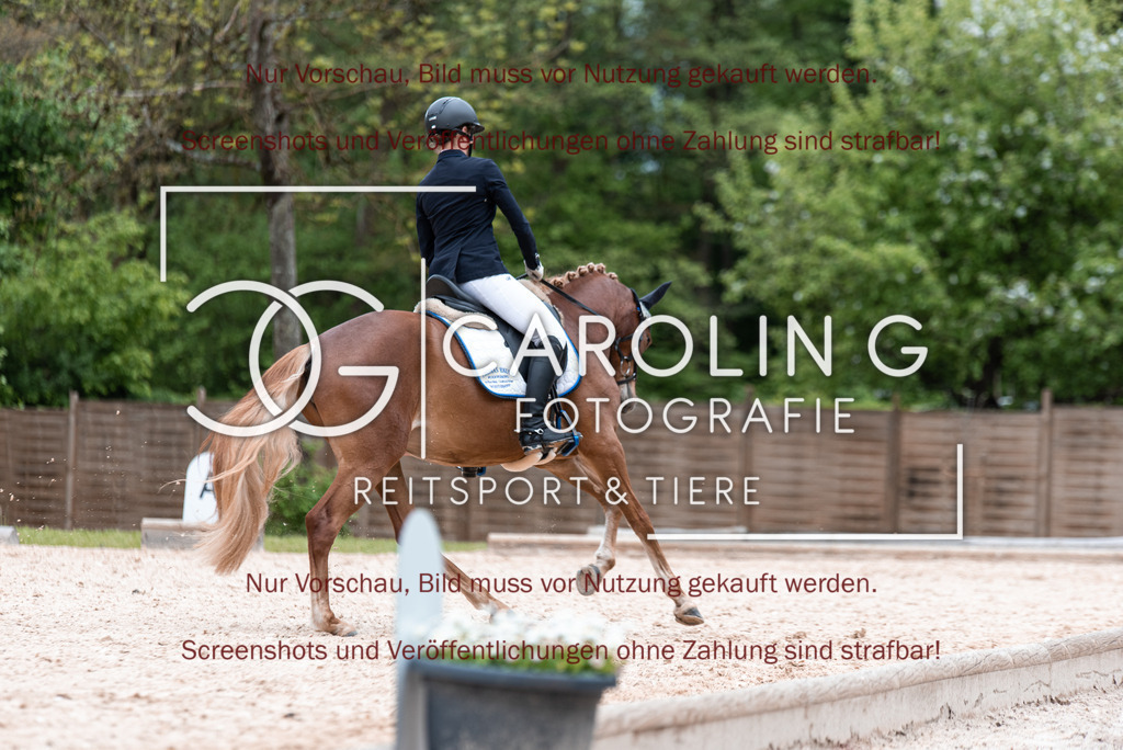 DSC_7011 | Turnierfotografin Carolin Gieschke,Reitsport Turnierfotografie Carolin G Fotografie | Turnierfotos aus Kirchheim/Teck, Esslingen, Stuttgart und dem Bodenseekreis