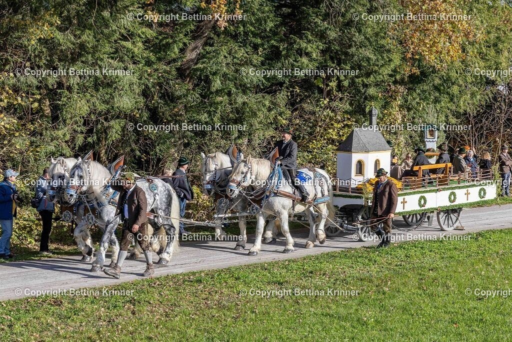 LBT24-476 | foto-bettina-krinner - Realisiert mit Pictrs.com