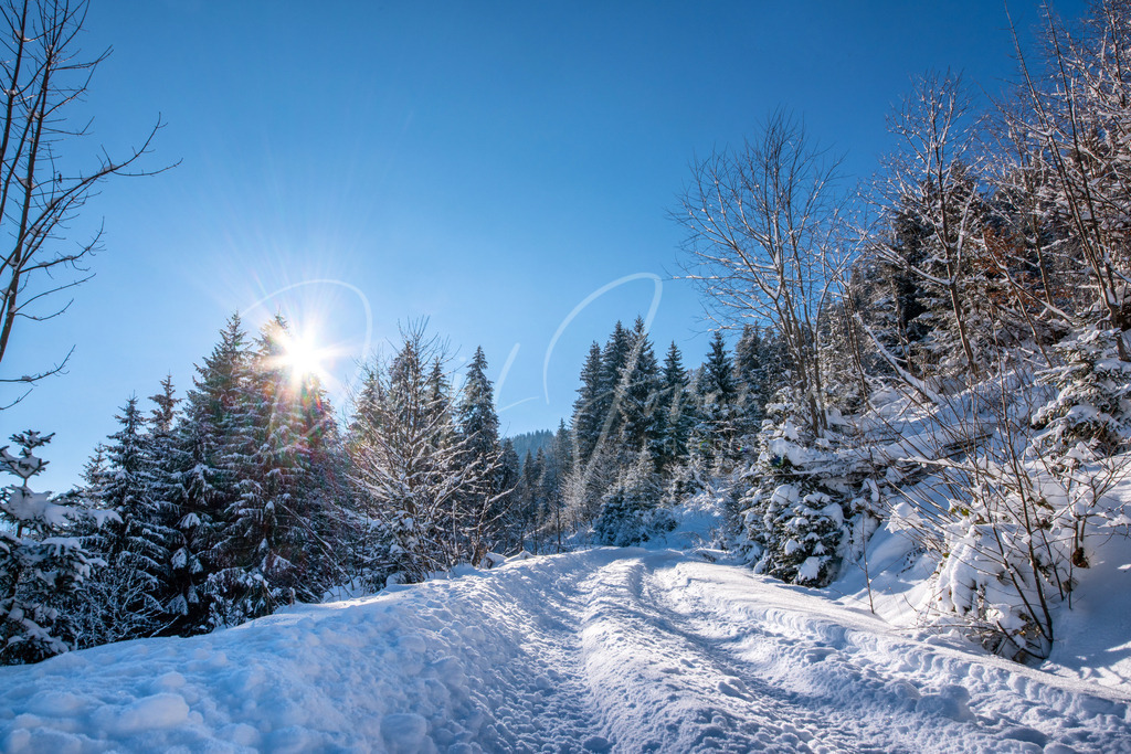 DSC05586 | Professioneller Fotograf - Bildbestellung online - Wandbilder vom Profi für ihr Zuhause, Büro, Praxis, Firma - große Auswahl an Materialien und Formaten, über 1400 regionale Motive