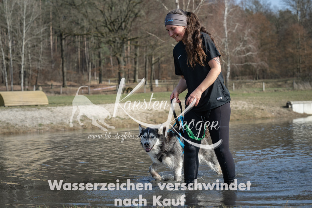 1331_ZZ96735 | kk-dogfotos