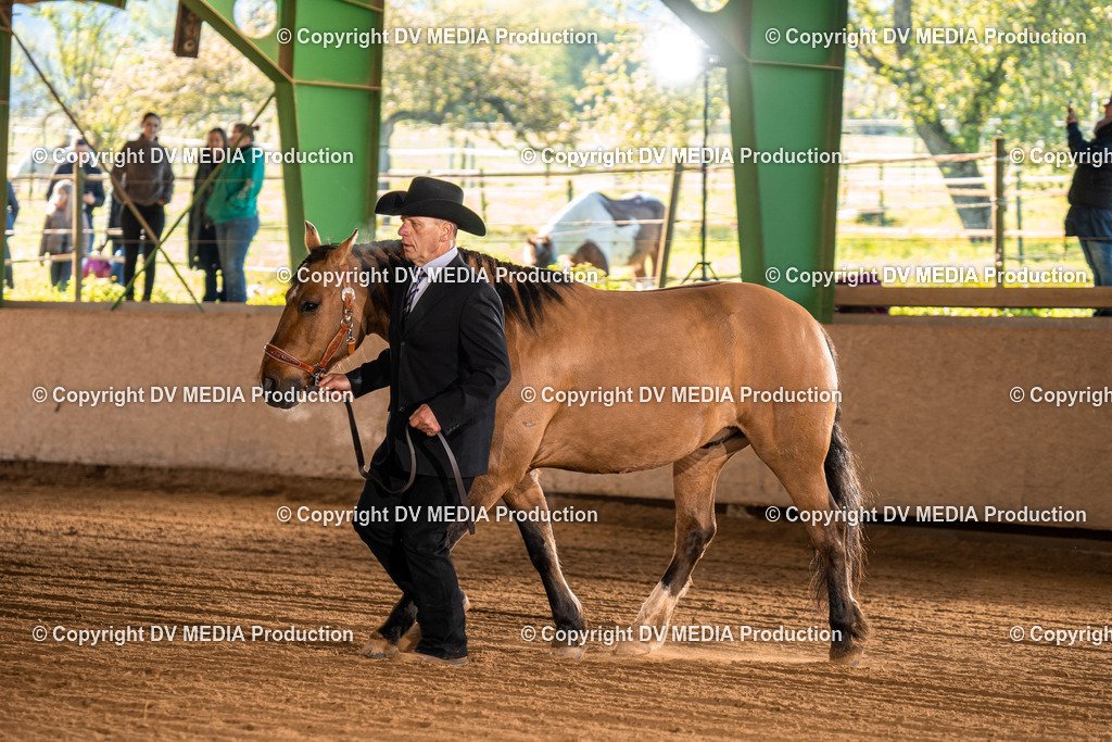 Balingen Tag 1-18 | dv-media-shop - Realisiert mit Pictrs.com