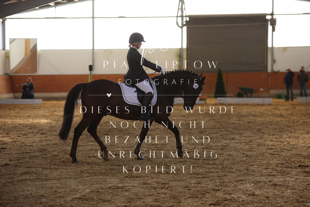 IMGT6287 | pl-fotografie