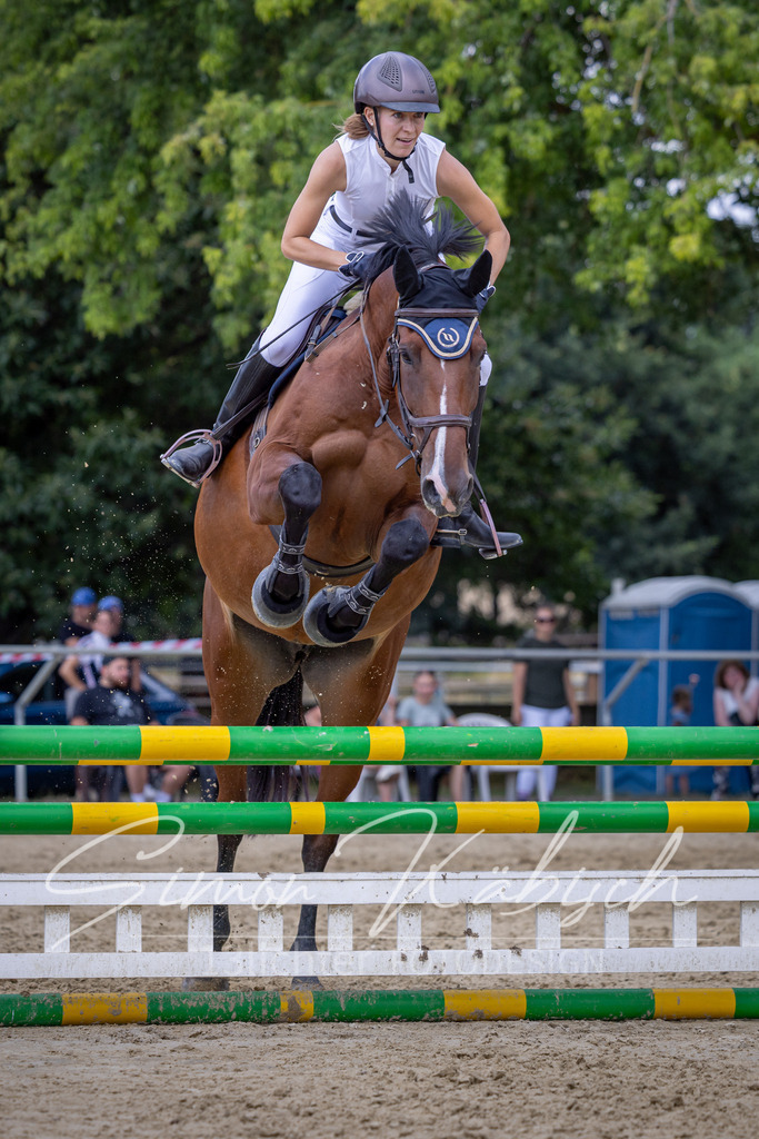 20260704-_3LI0011 | Tierfotografie Pferde, Hunde, Katzen, Haustiere.
Turnierfotografie Reitturniere, Reiten, Springreiten, Dressur in Hanau, dem Main-Kinzig-Kreis und dem Rhein-Main- Gebiet um Frankfurt