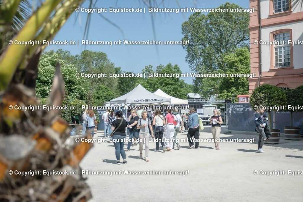 ZFC_3952 | equistock