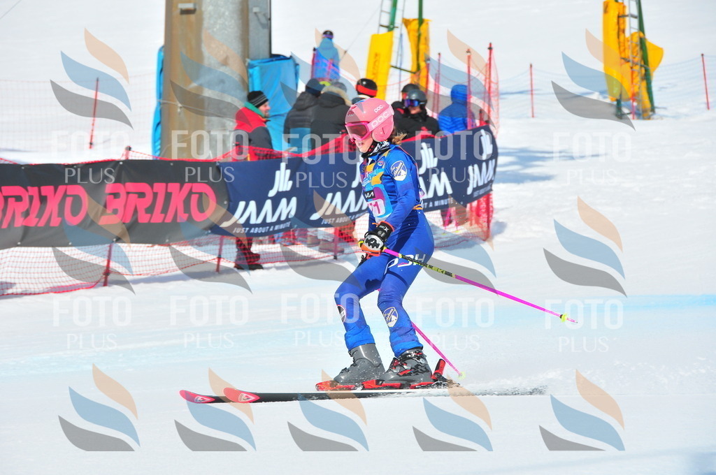 DSC_5269 | holidayphoto