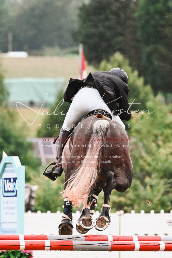 DSC_6549 | Pferde- und Turnierfotografie in Westsachsen. Pferdeportraits, Auftragszeichnungen und intuitive Kunst.