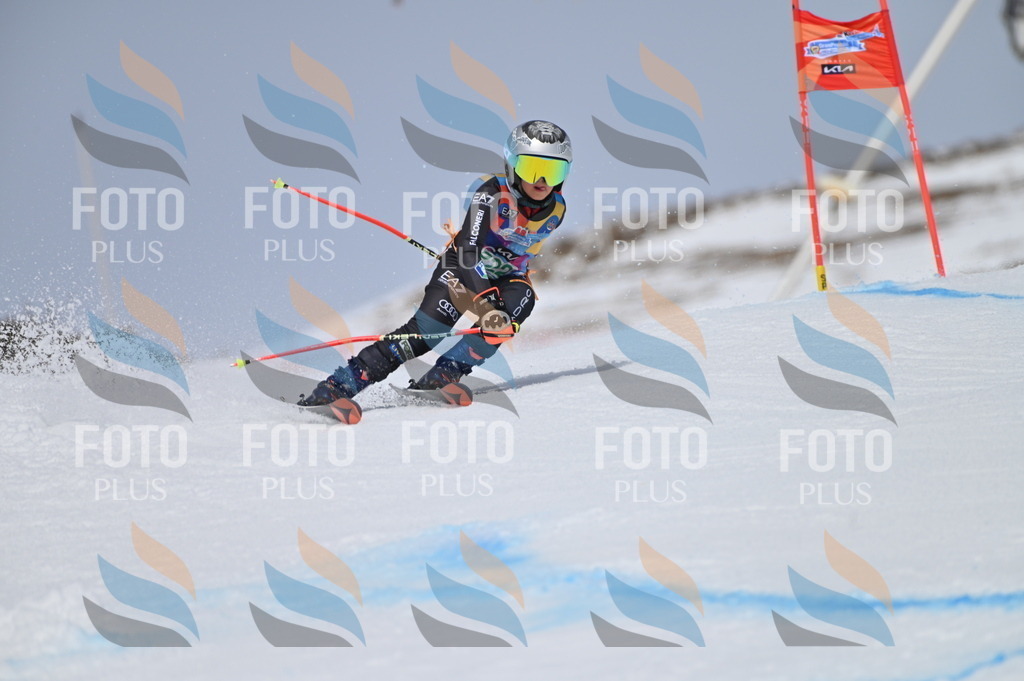 BGV_4346 | holidayphoto