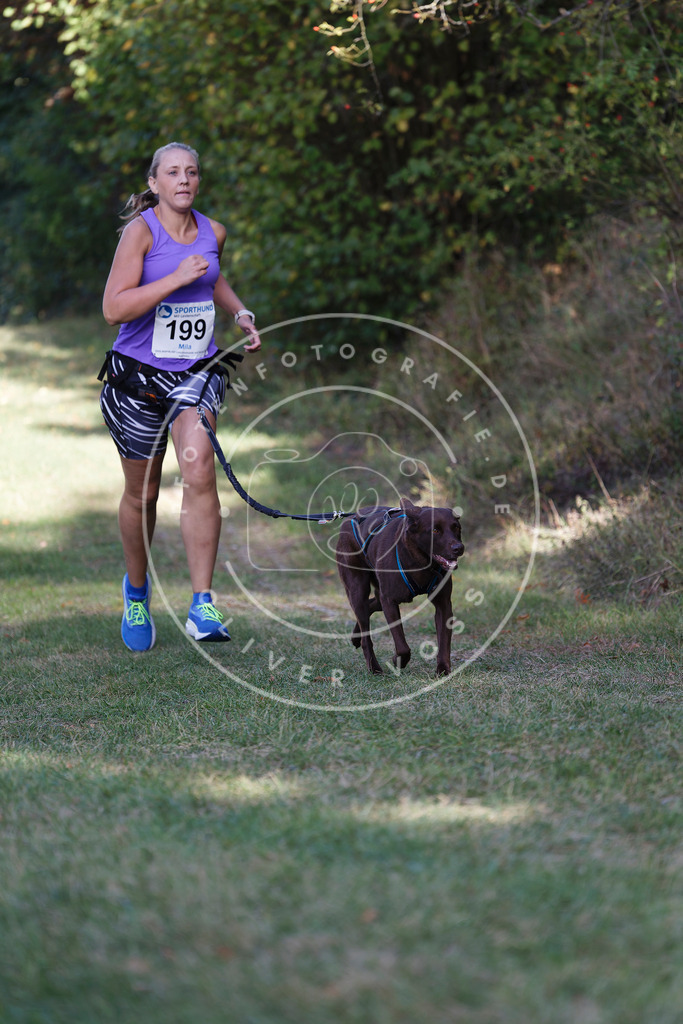 0L8A5613 | Hundefotografie, Tierfotograf, Pfotenfotografie, Fotoshooting Hund, Hunde Portrait, Hundesport, Hundeportraits, Heideshooting, Hunde, Sportfotograf, Hundefotograf, Turnierhundsport, THS,  - Realisiert mit Pictrs.com