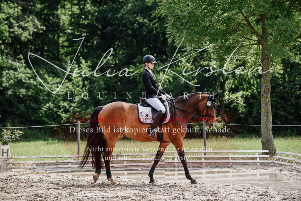 DSC_0911 | Pferde- und Turnierfotografie in Westsachsen. Pferdeportraits, Auftragszeichnungen und intuitive Kunst.