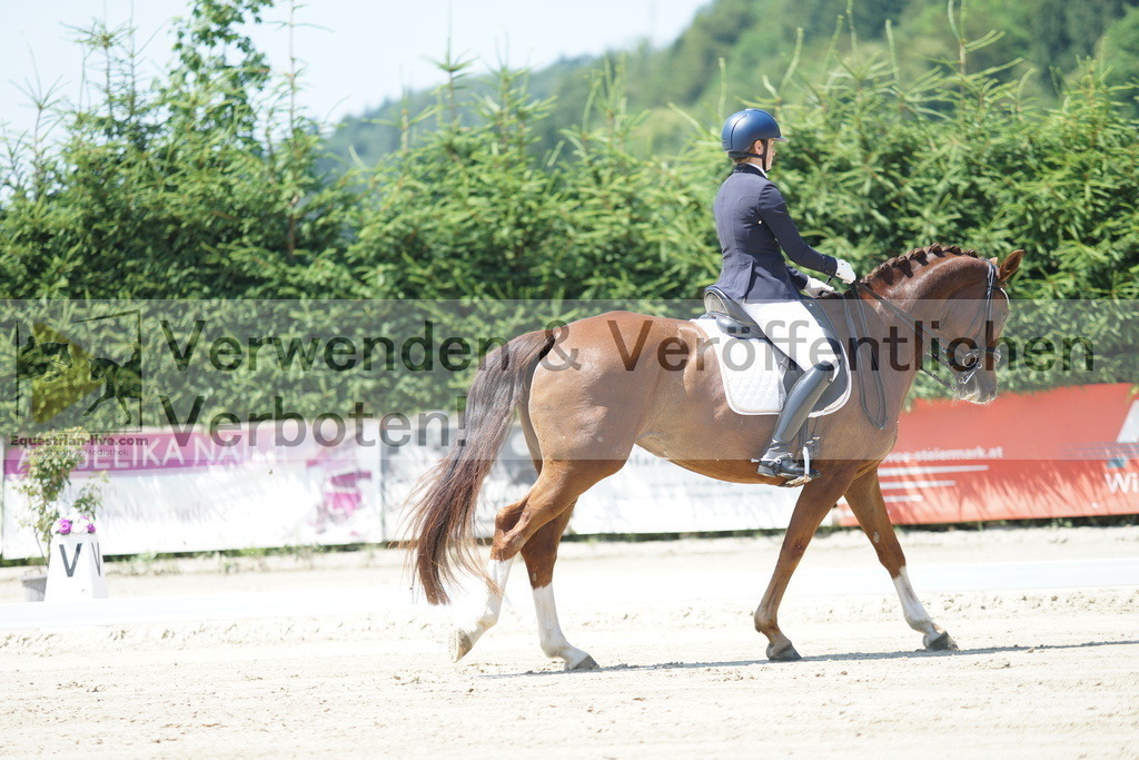 DSC03569 | equestrian-live-com