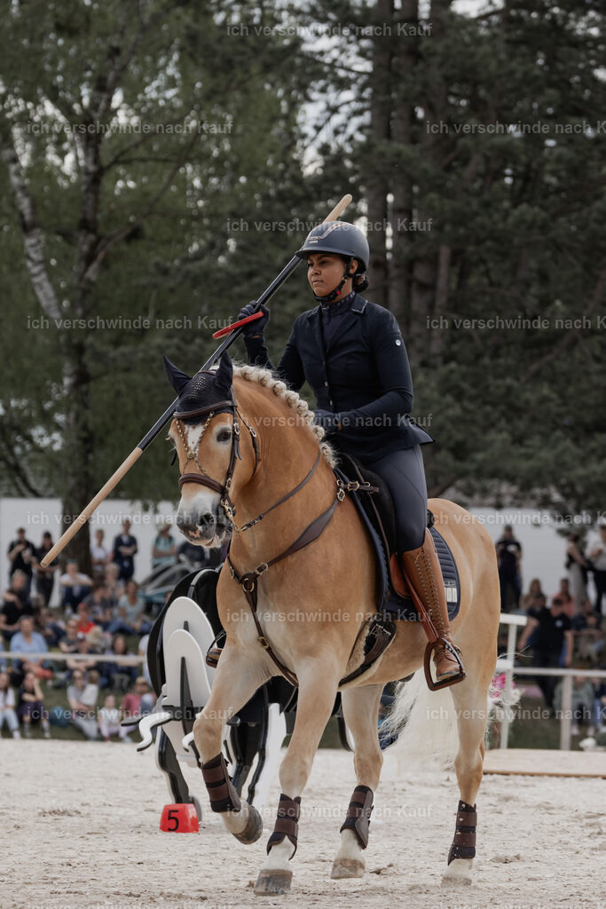 WE_ST_Stoib_308_PI2025_992 | Pferd International München 2025