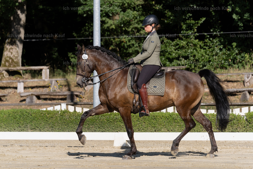 WM_DR_131_sinafilmart_IN04357 | working equitationturnier fotograf videograf stoibphotography marixx film working equitation deutschland reitsport turnierfotografie eventfotografie equestrian events