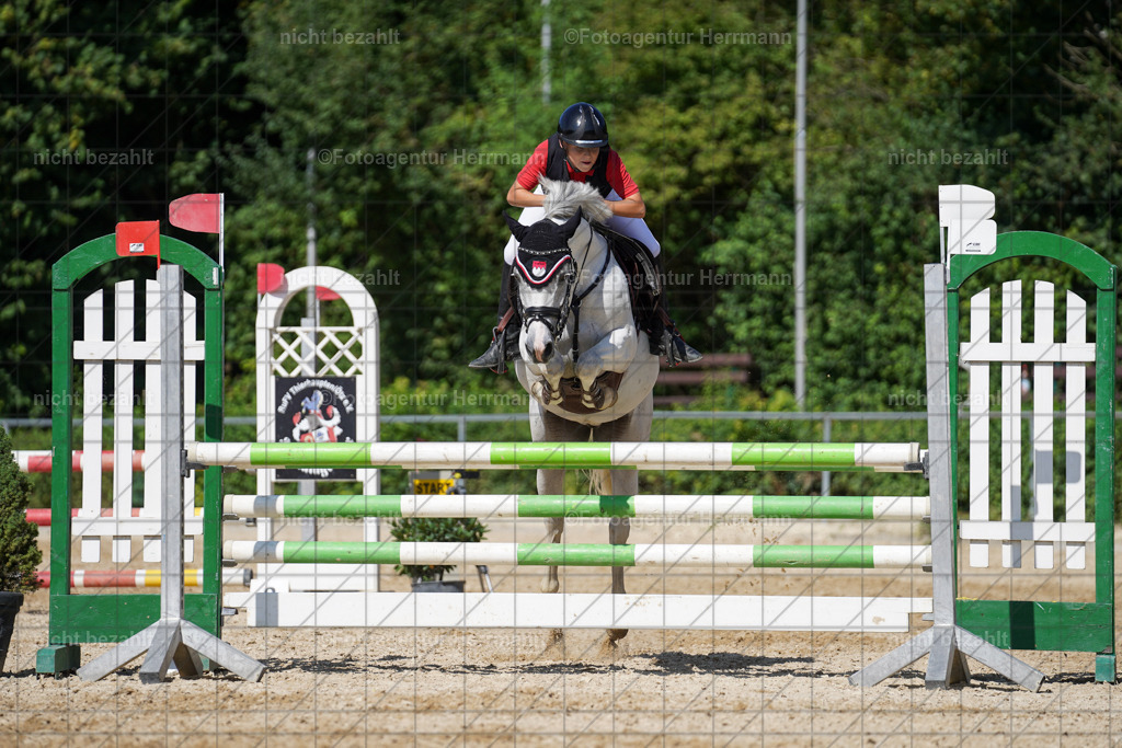 20240824-FAH08320 | Thierhaupten 2024, Bayerisches Landesponyturnier, Turnierbilder, Ponybilder, Turnierfotografen Bayern, Fotoagentur Herrmann
