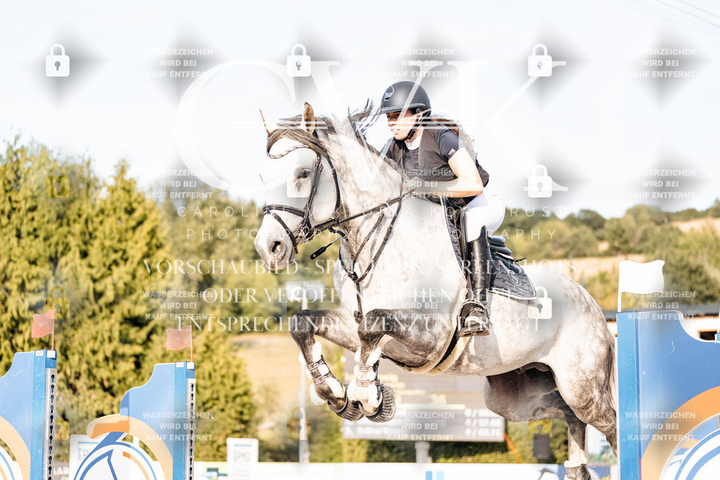 CK903382 | Turnierfotografie Pferdefotografie Trier Rheinland-Pfalz Pferdesport Reitsport Tierfotografie Sportfotografie Pferdevideo Pferdevideografie Equestrianvideography equestrianphotography  - Realisiert mit Pictrs.com