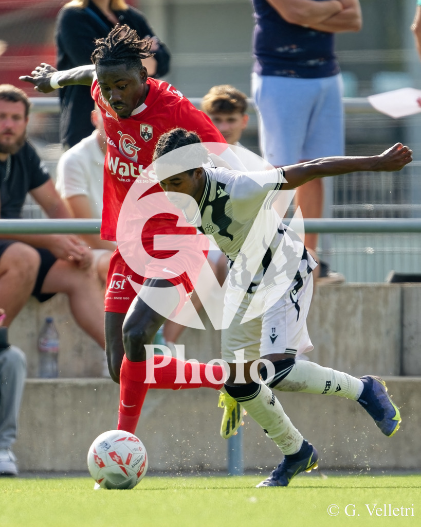 DSC_7350 | Velletri Photo