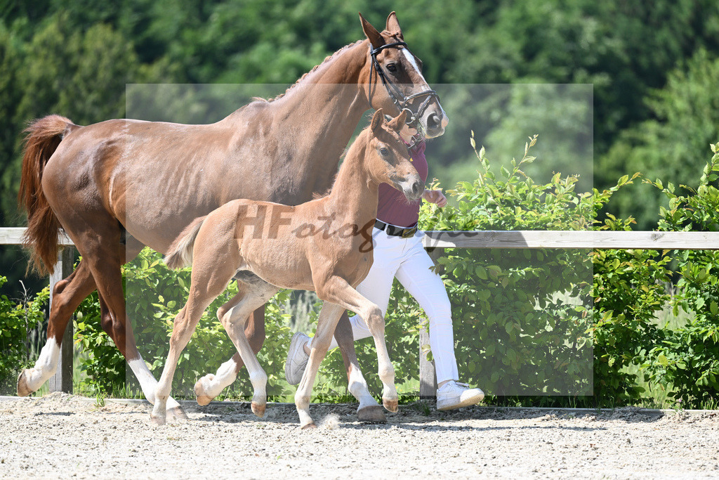 Kat-Nr. 8 HF DSP Feliciano_Niedermair_15230180 | hf-fotografie - Realizzato con Pictrs.com