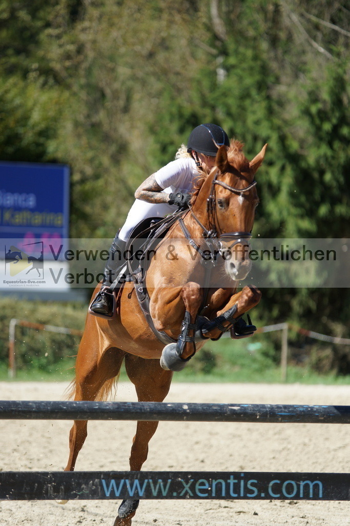 DSC08619 | equestrian-live-com