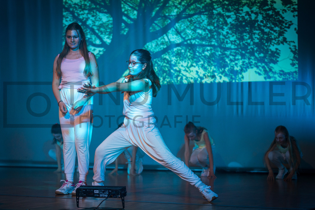 _DSC2267 | Tinu Müller Fotografie- Bildershop - Realisiert mit Pictrs.com