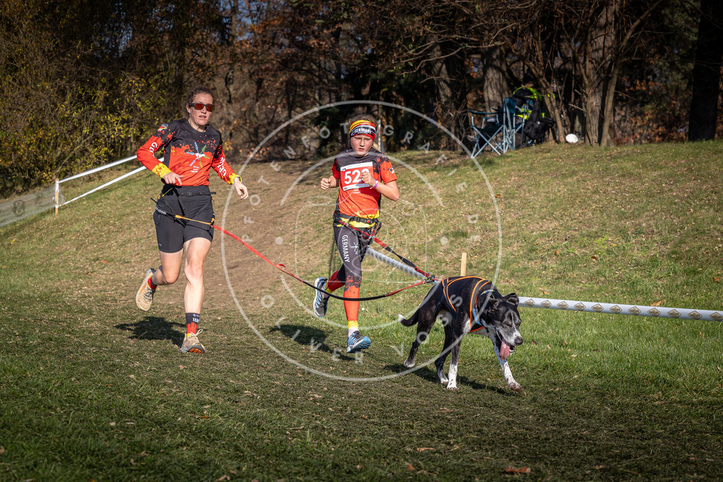 CaniXpix_0L8A8652 | Hundefotografie, Tierfotograf, Pfotenfotografie, Fotoshooting Hund, Hunde Portrait, Hundesport, Hundeportraits, Heideshooting, Hunde, Sportfotograf, Hundefotograf, Turnierhundsport, THS,  - Realisiert mit Pictrs.com