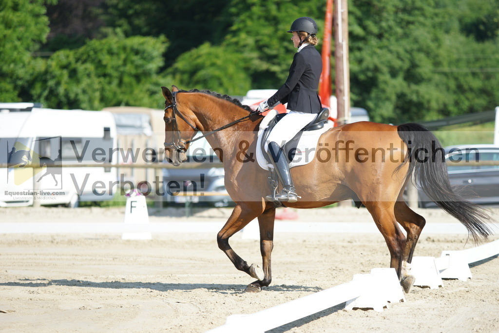 DSC04054 | equestrian-live-com